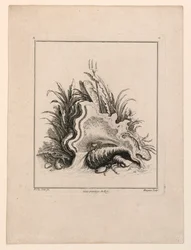 Escudo, de "Recueil Nouveau de Differens Cartouche"