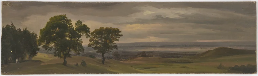Paisagem de prado ao entardecer