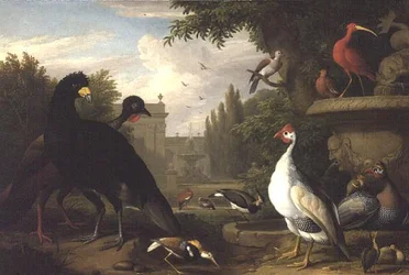 Aves exóticas num jardim ornamental (óleo sobre tela)