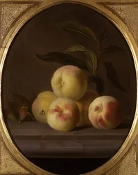 Natureza Morta de Fruta com Mosca (óleo sobre tela)
