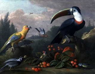 Tucano com outras aves (óleo sobre tela)