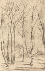 O Bosque da Barragem, 1875.