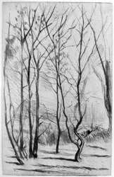 A madeira da represa, c1875 1904.