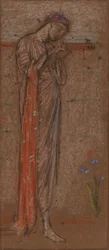 A íris roxa, 18711872.