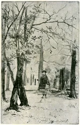 The Wood, século XIX, 1904.