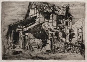 Doze gravuras da natureza: o cortiço inseguro, 1858.