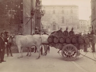 Carrinha com bois, Perugia, 1880s.