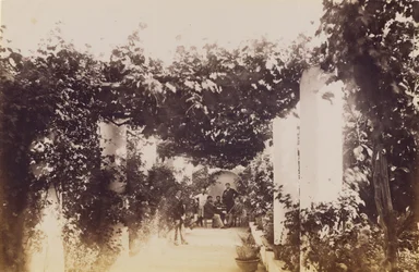 Jardim - Capri