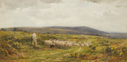 Um Herefordshire Common, 1860-1900.