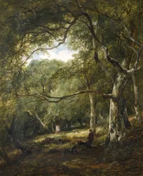 Figuras na floresta