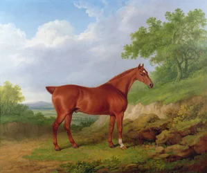 Caçador de castanha em uma paisagem
