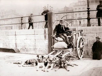 Homem com carroça, Antuérpia, 1898.
