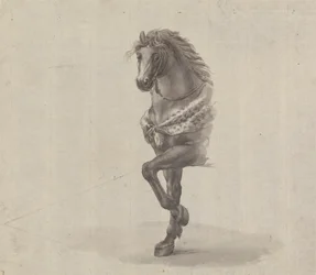 Estudo da Frente de um Cavalo