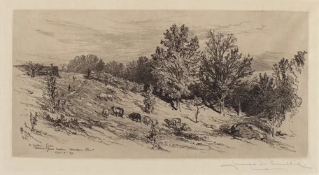 Um campo de pousio