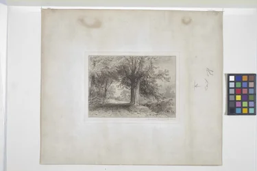 Paisagem (gravura, chine collé)