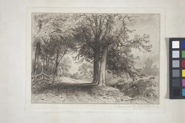 Paisagem (gravura, chine collé)