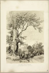 Faia e Carvalho (Frontispício), de The Park and the Forest