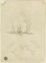 Arvoredo