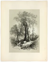 Ponte Shipley, Devon, de Seleções Pitorescas
