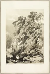 Wych Elm and Firs, do Parque e da Floresta