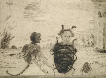 Insectos Peculiar