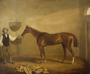 Bravissimo, Vencedor da Taça Monmouthshire Hunt em Abergavenny