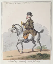 Um Scotch Poney, comumente chamado de Galloway, publicado por Hannah Humphrey em 1803 (gravura à mão colorida)