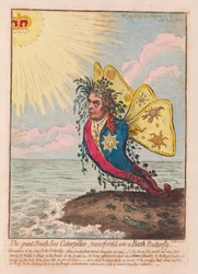 O Great South Sea Caterpillar, transformado em uma borboleta Bath, pub. 1792 (gravura colorida à mão)