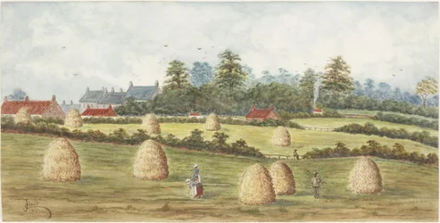 Chirton da Meadowell Farm (aquarela e bodycolour no papel)