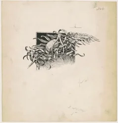 Martelo e bússola