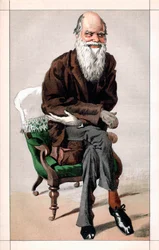 Retrato de Charles Darwin
