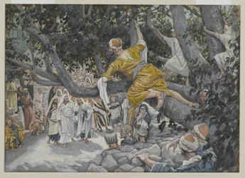 Zaqueu no sicómoro à espera da passagem de Jesus, ilustração de A Vida de Nosso Senhor Jesus Cristo, 1886-96