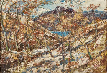paisagem