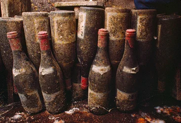 Garrafas de vinho tinto, cobertas de bolor, a envelhecer numa adega. Tain-L