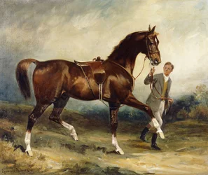 Cavalo e noivo em uma paisagem