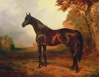 São Simão, 1906