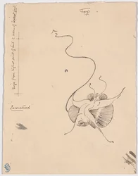 Borboleta "Encontrada" (anverso); Esboço para o arremate (verso)