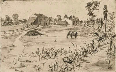 Paisagem com cavalos