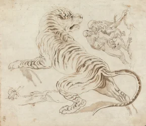 Estudo para um tigre e macacos