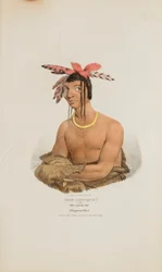 MISH-SHA-QUAT ou o Céu Claro; Um Chefe Chippeway, de The Aboriginal Portfolio