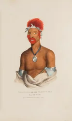 WAA-PA-LAA ou a Raposa Brincalhona; Príncipe da Tribo da Raposa, de The Aboriginal Portfolio