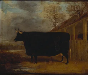 Um touro preto junto a um estábulo, com uma vasta paisagem ao fundo