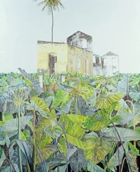 Ruína em um pântano, Haiti, 1971