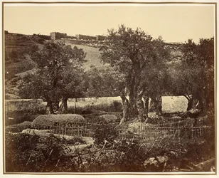 O Jardim do Getsémani