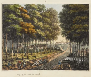 Borda do Foret de Soignes, de &39;uma conta histórica da batalha de Waterloo&39;, 1817 (aquatint colorido)