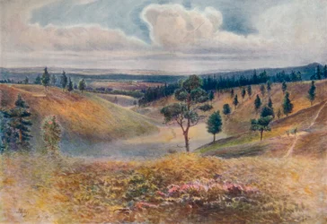 "Vista de Beacon Hill, Hindhead", 1911, 1914