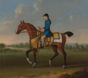 Um cavalo de corrida de baía com Jockey Up