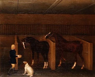 Um noivo, cavalos e um cão num estábulo.