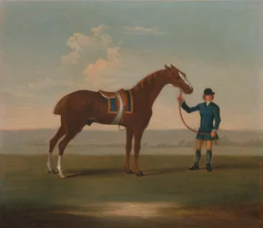 Um dos Quatro Retratos de Cavalos - um Cavalo de Castanheiro (? Velho Parceiro) segurado por um noivo: de pé virado para a direita, vestindo sela azul debruada a ouro; o noivo de azul...