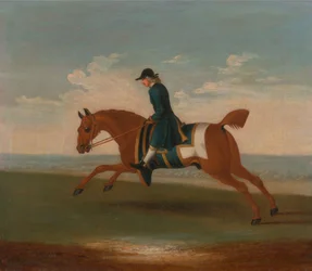 Um de quatro retratos de cavalos - um cavalo de corrida castanho exercitado por um treinador com um casaco azul: galopando para a esquerda, o cavalo usa uma capa de suor azul e um pano de sela com bordas douradas